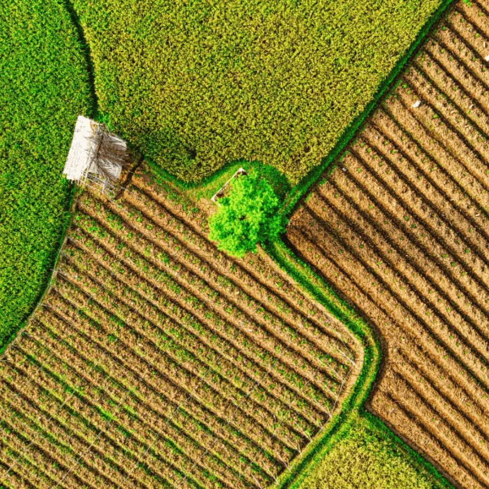 ADEC Australia Impact Solutions Deliver environmental, social, and regulatory outcomes without disruption. Our offshore teams support reporting, compliance, supply chains, and talent delivery so impact work stays consistent, efficient, and cost-effective.